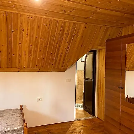 Freskia 5* Shkodër